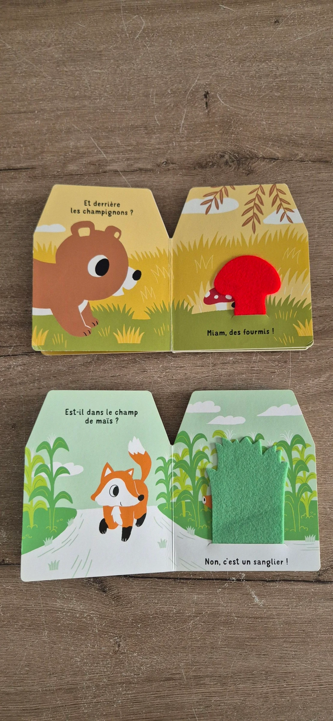 Lot de livros Cache-cache em feltro – photo 7